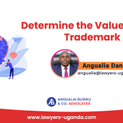 Determine the Value of Your Trademark