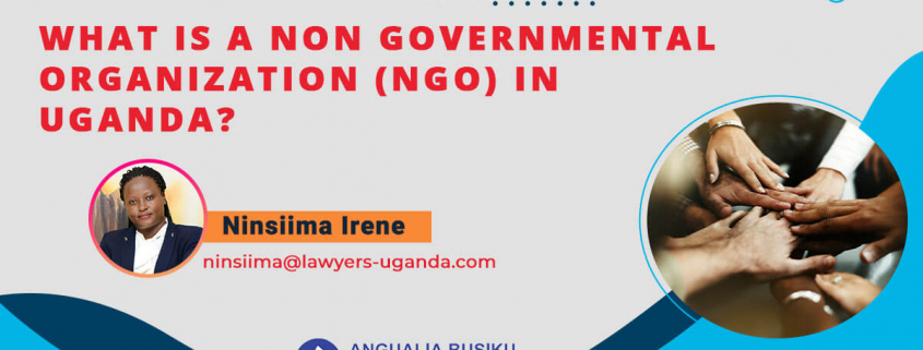 What-is-a-Non-Governmental-Organization-(NGO)-in-Uganda
