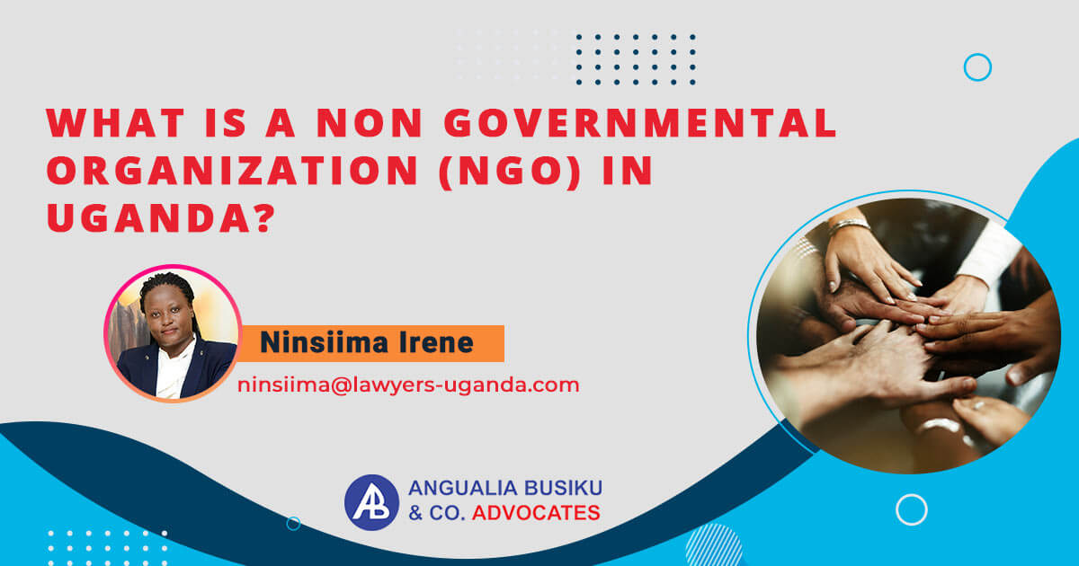 what-is-a-non-governmental-organization-ngo-in-uganda-angualia